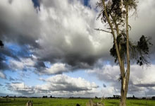 开云体育官网入口-切尔西后防线表现惊艳，赞誉不绝于耳，切尔西后场